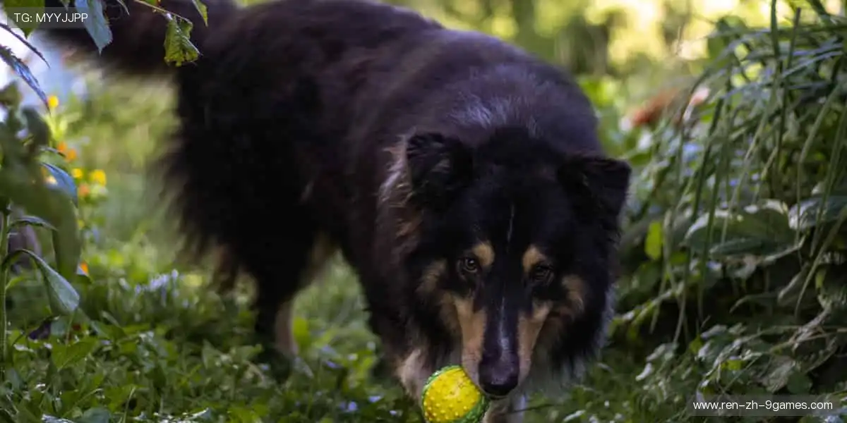 🔥赛事激情，一键点燃你的热血时刻！⚽